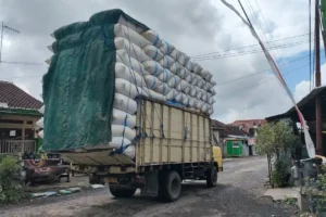 Can More Than One Party Be Responsible for an Overloaded Truck Accident